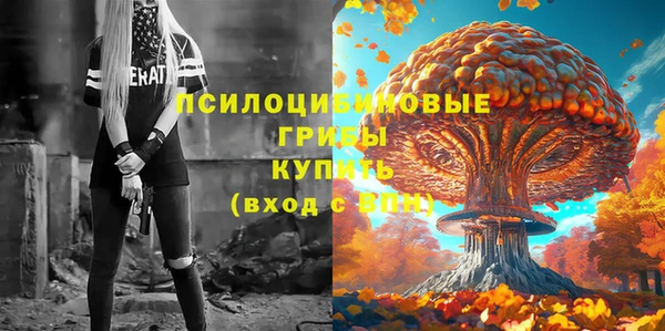 спиды Алзамай