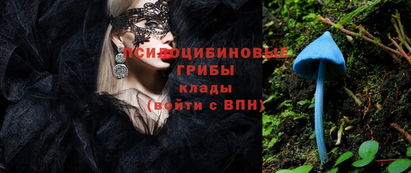 спиды Алзамай