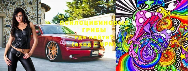 ПСИЛОЦИБИНОВЫЕ ГРИБЫ Абдулино