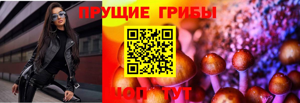 Галлюциногенные грибы Cubensis Грязи